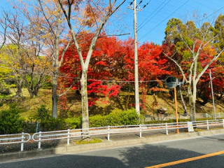 12月のご予約が埋まってきております！！！